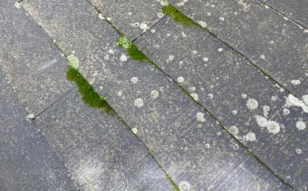苔の生えた屋根